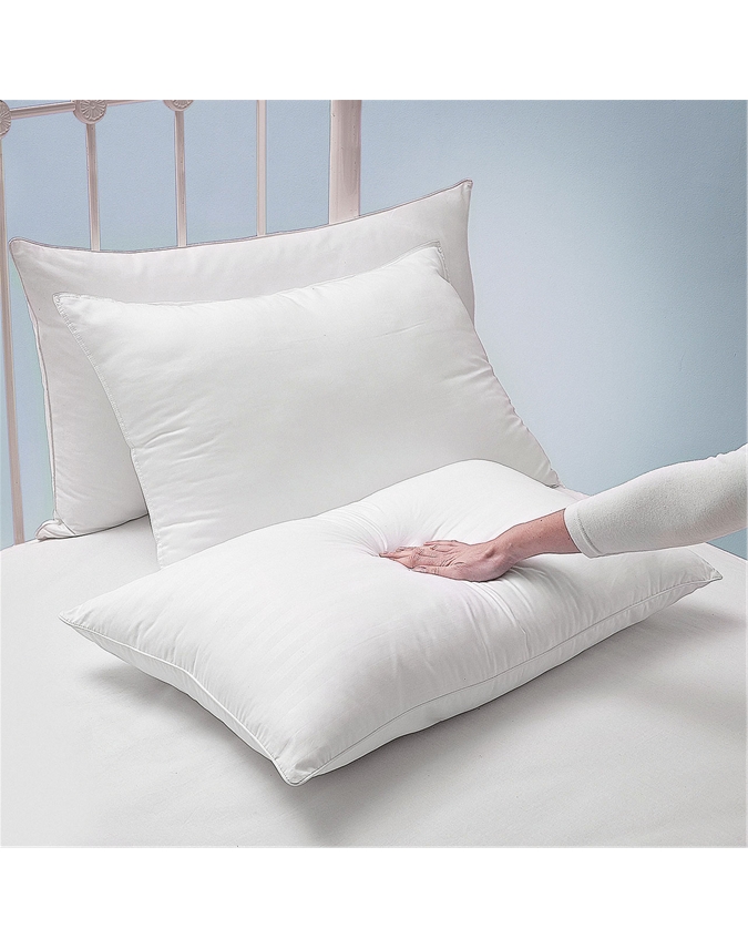 Standard Bounce Back Pillow Scott's of Stow