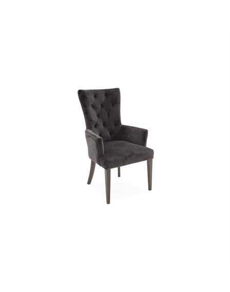 Velvet carver dining discount chairs