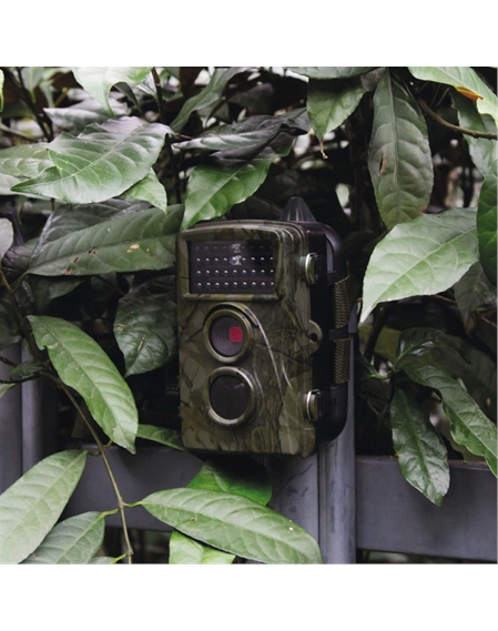 Wildlife Camera