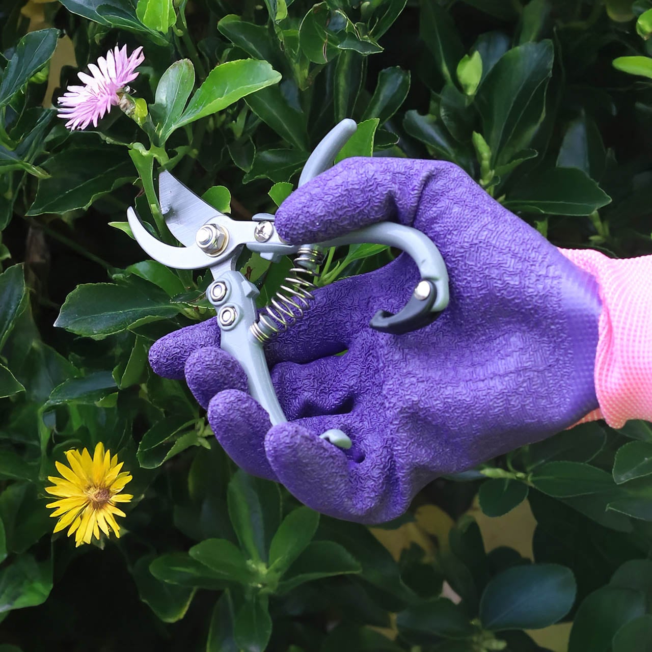 Precision Pruner