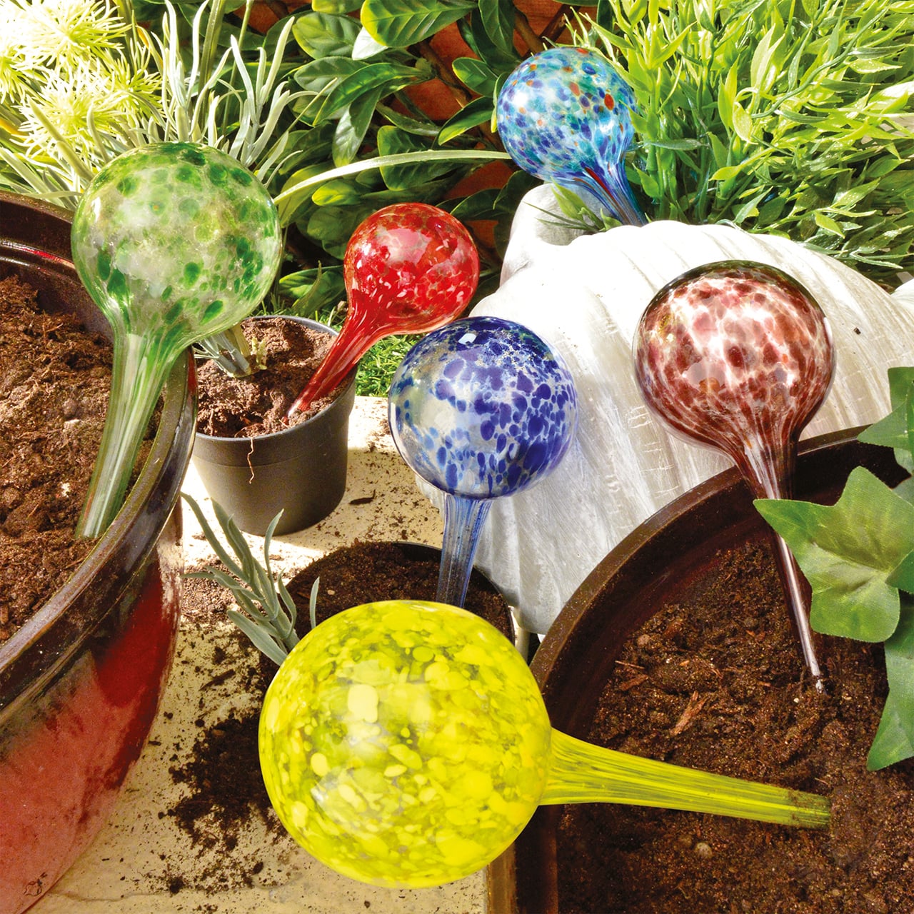 Set of 6 Watering Spheres