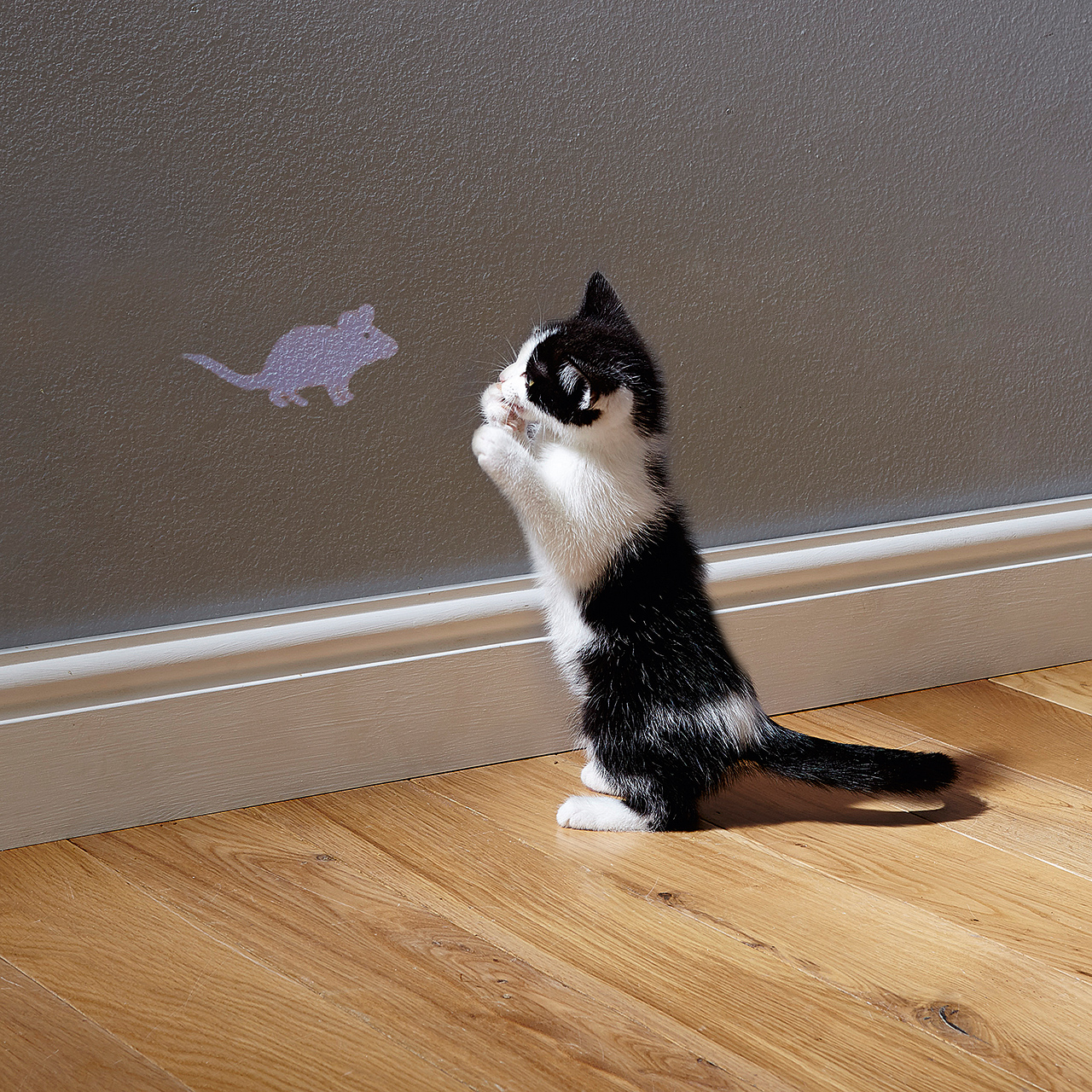 Mouse Shaped Cat Light Toy