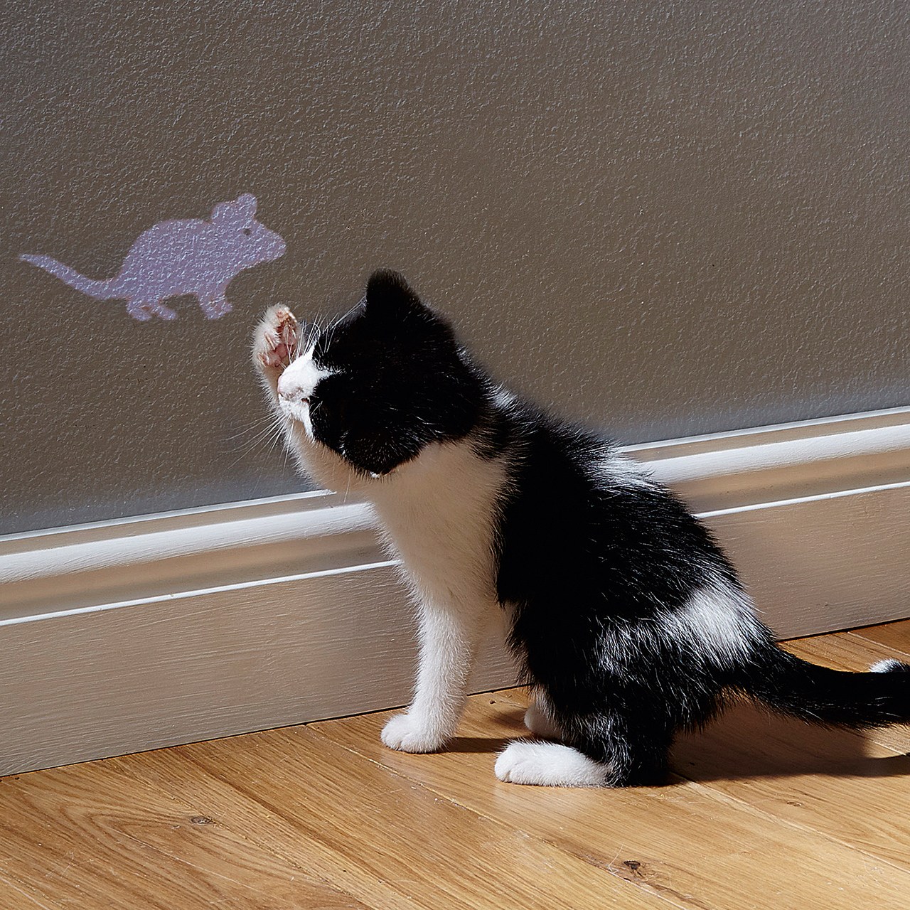 Mouse Shaped Cat Light Toy