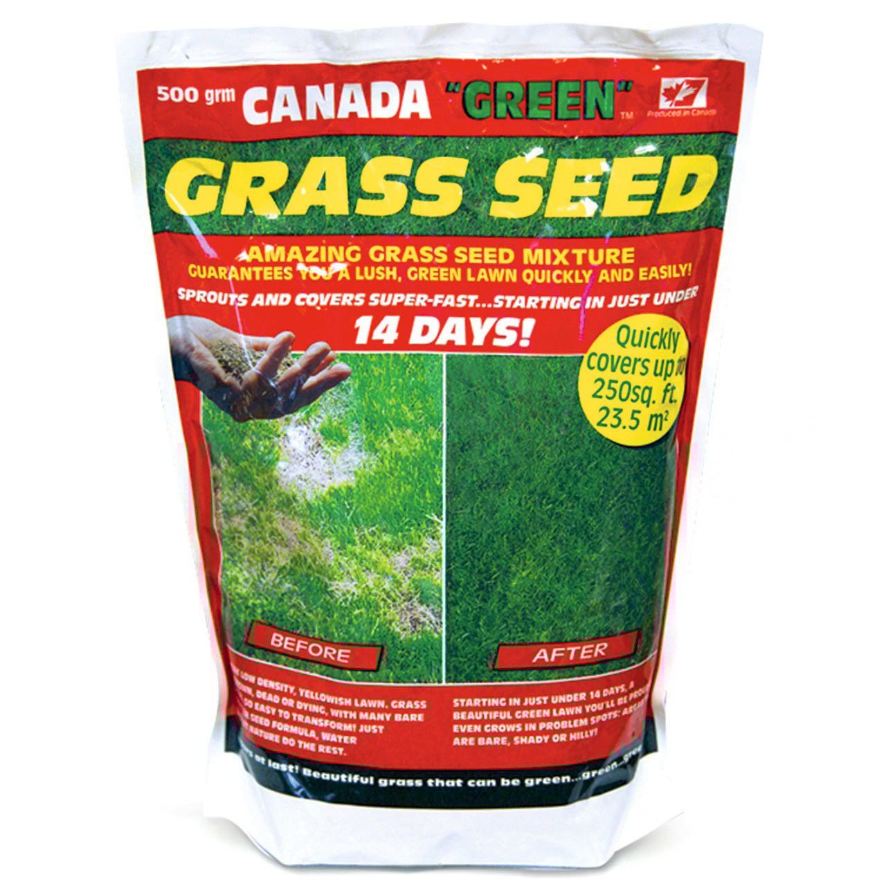 Canada Green Grass Seed 500g Scott's of Stow