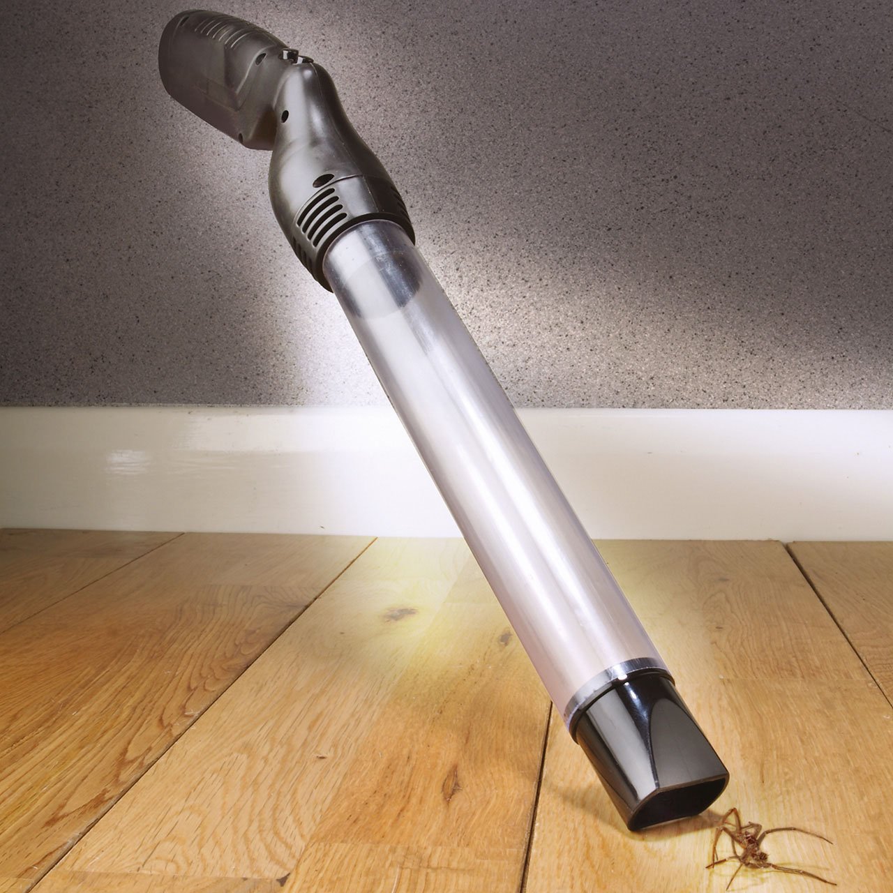 Humane Vacuum Action Spider & Insect Catcher Scott's of Stow