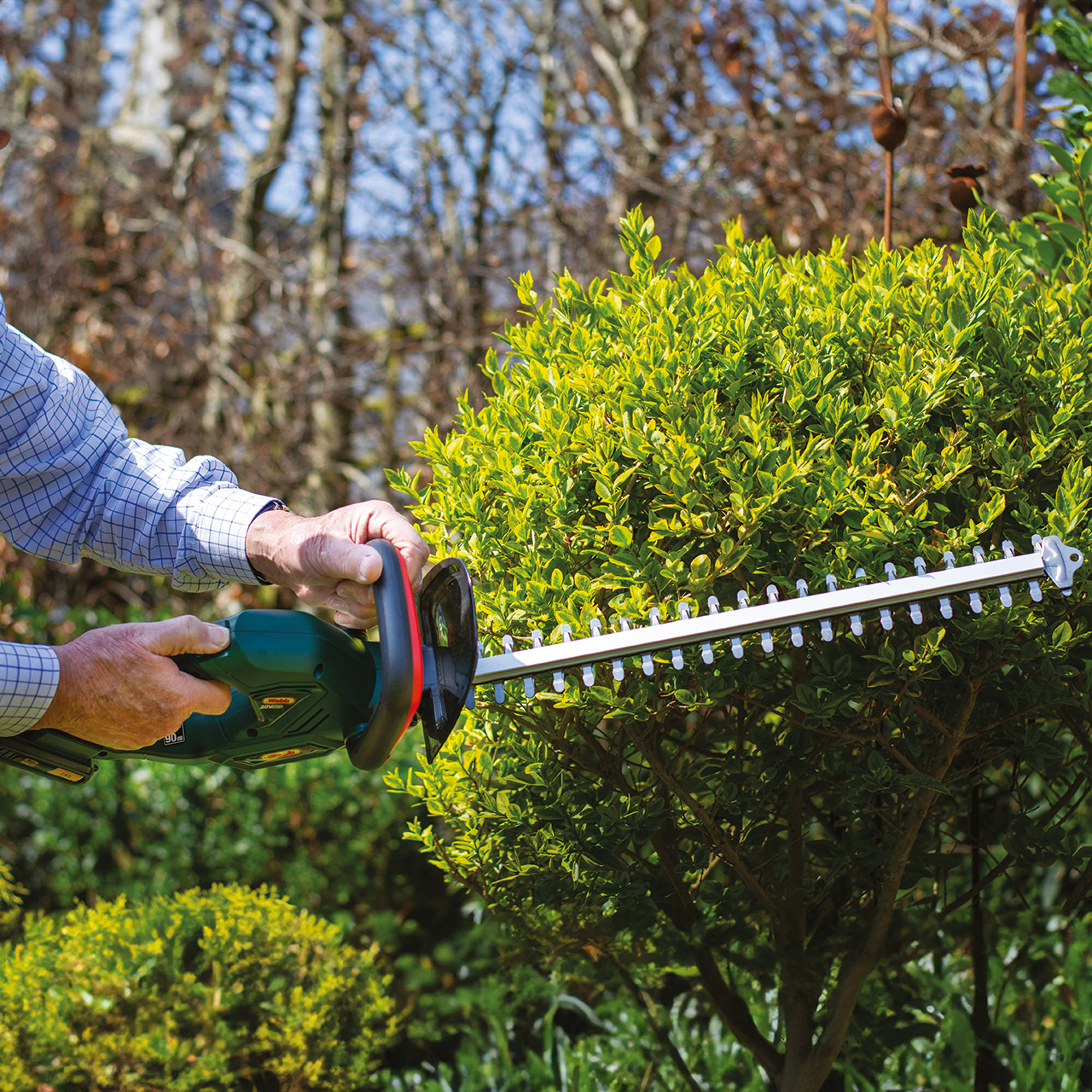 Webb Cordless Hedge Trimmer