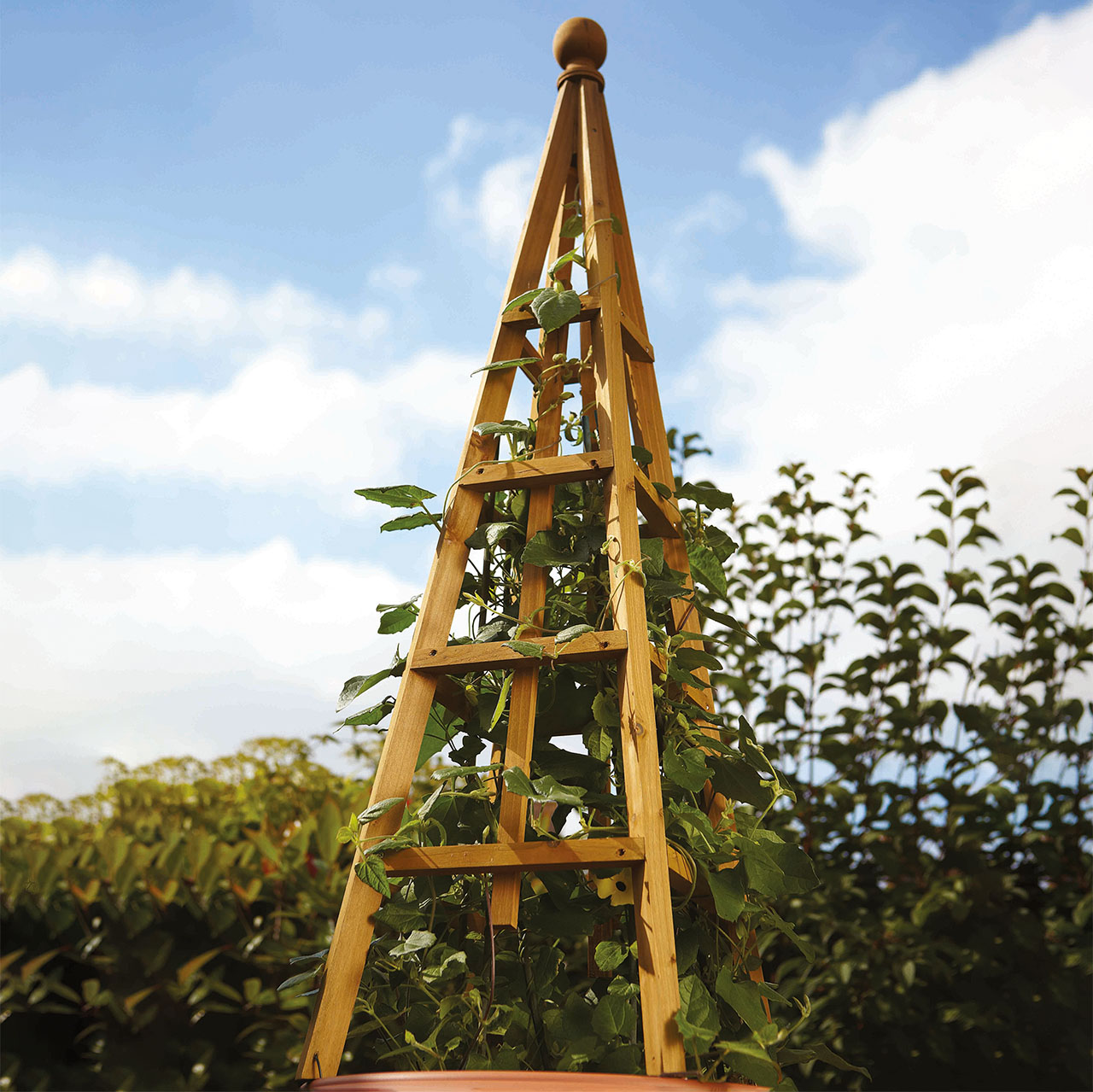 Wooden Garden Obelisk