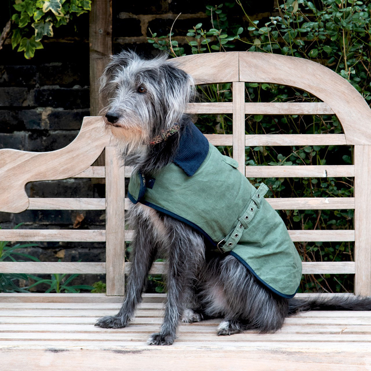 William Morris Waxed Cotton Dog Coat