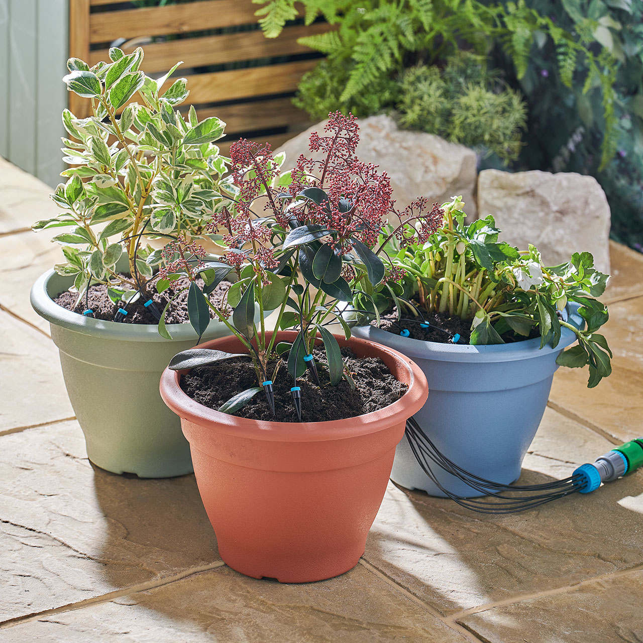 Automatic 10head Drip System Kit Scott's of Stow