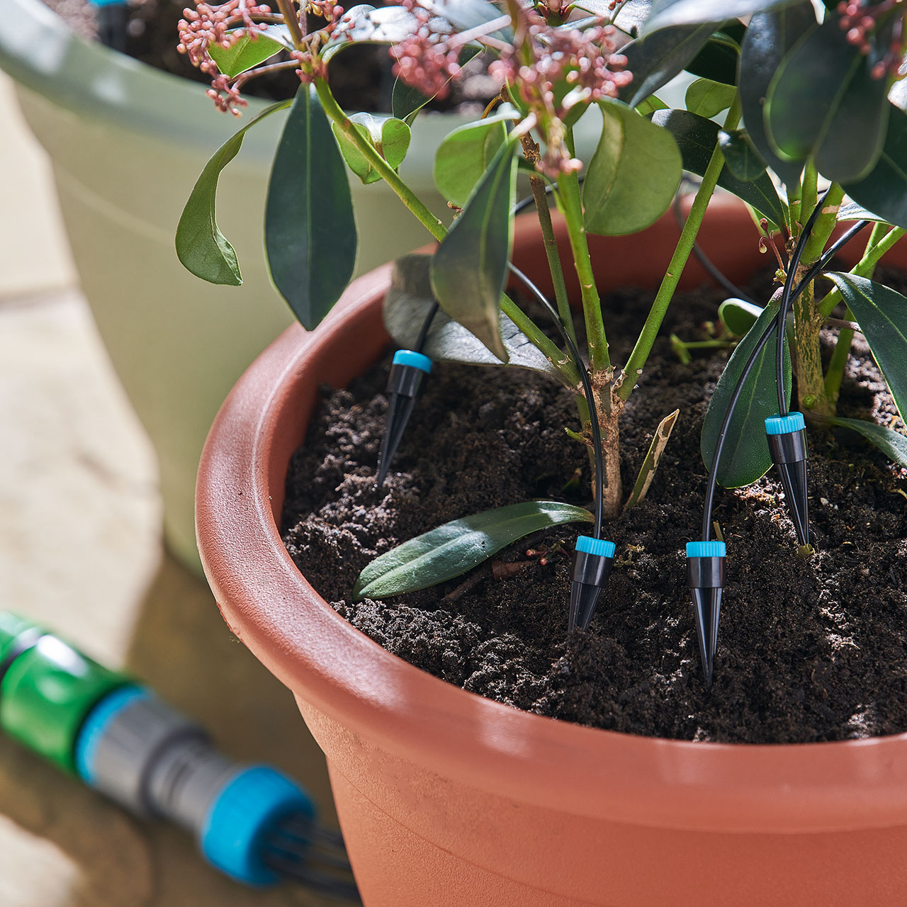 Automatic 10head Drip System Kit Scott's of Stow