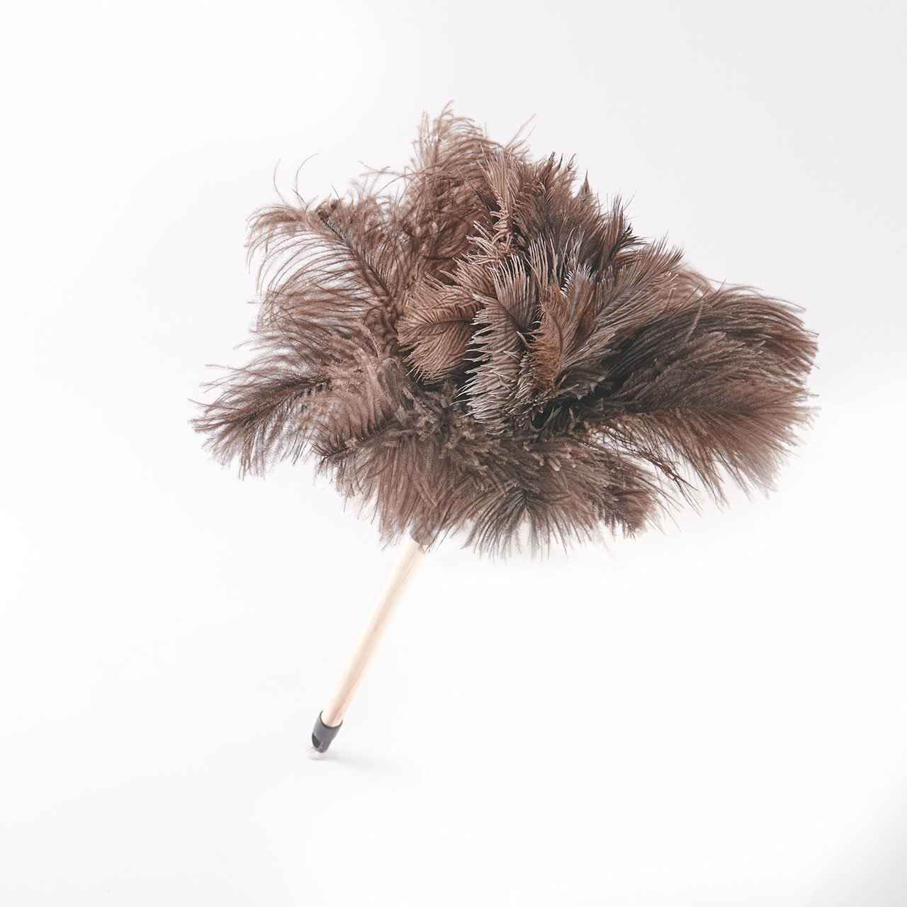 Ostrich Feather Dusters