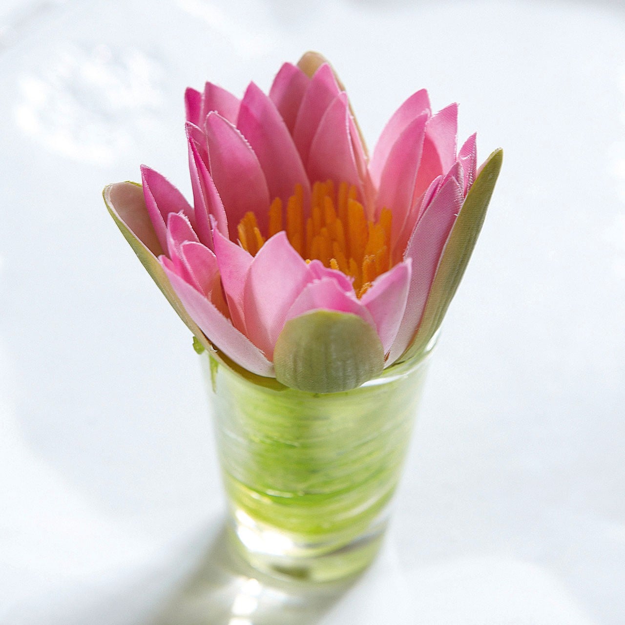 Flower of the Month