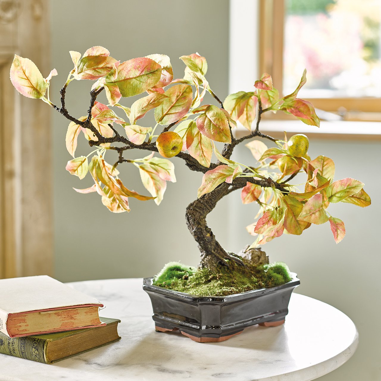 Crab Apple Bonsai