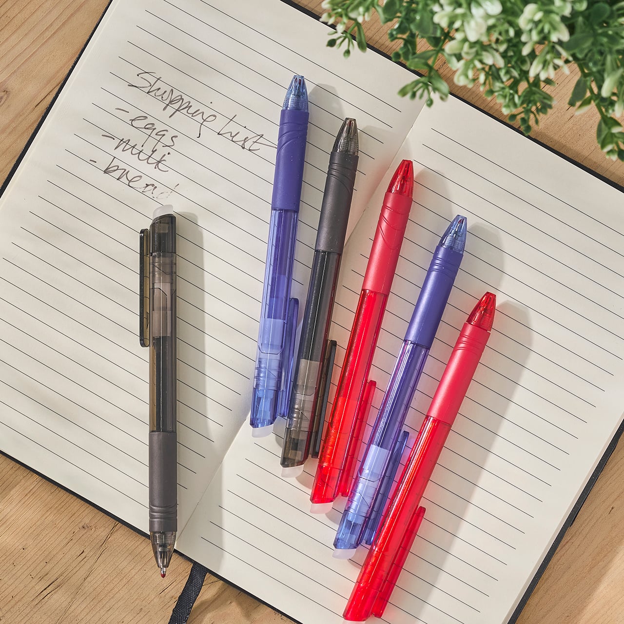 Erasable Puzzle Pens