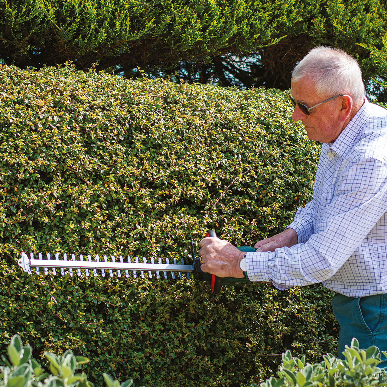 Webb Cordless Hedge Trimmer