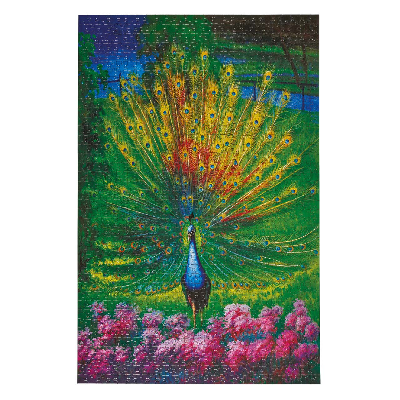 1000 Piece Peacock Jigsaw