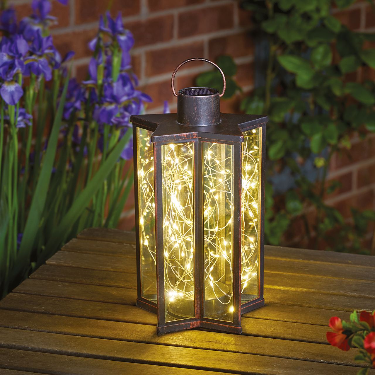 Firefly Star Lantern