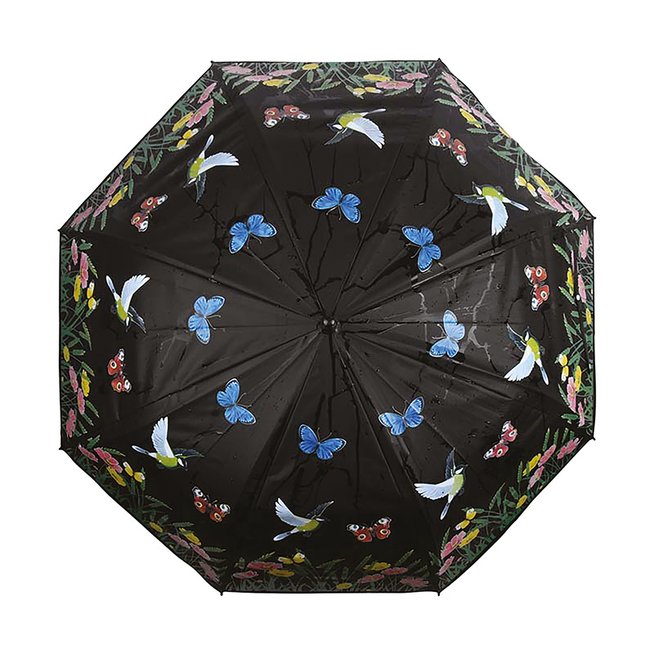 Colour Changing Umbrella