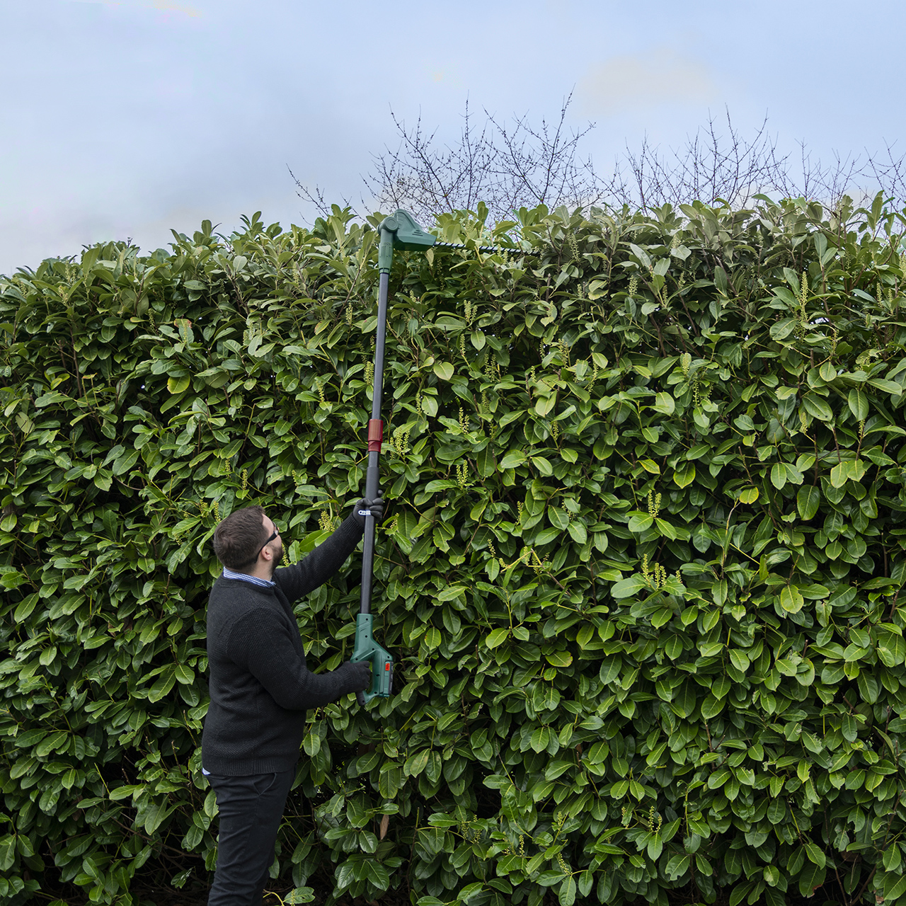 Webb Long Reach Hedge Trimmer