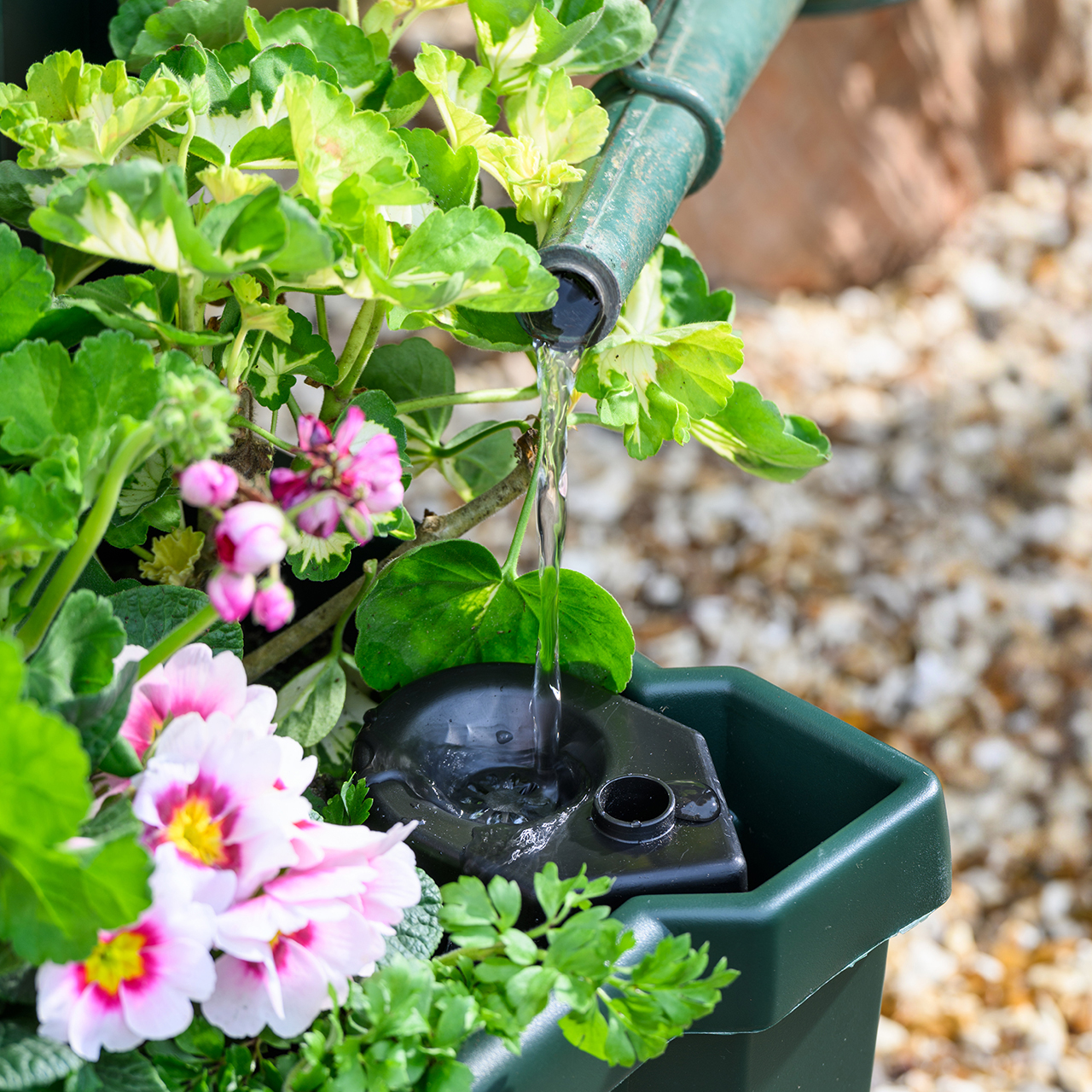 Self Watering Planter with Trellis on Wheels