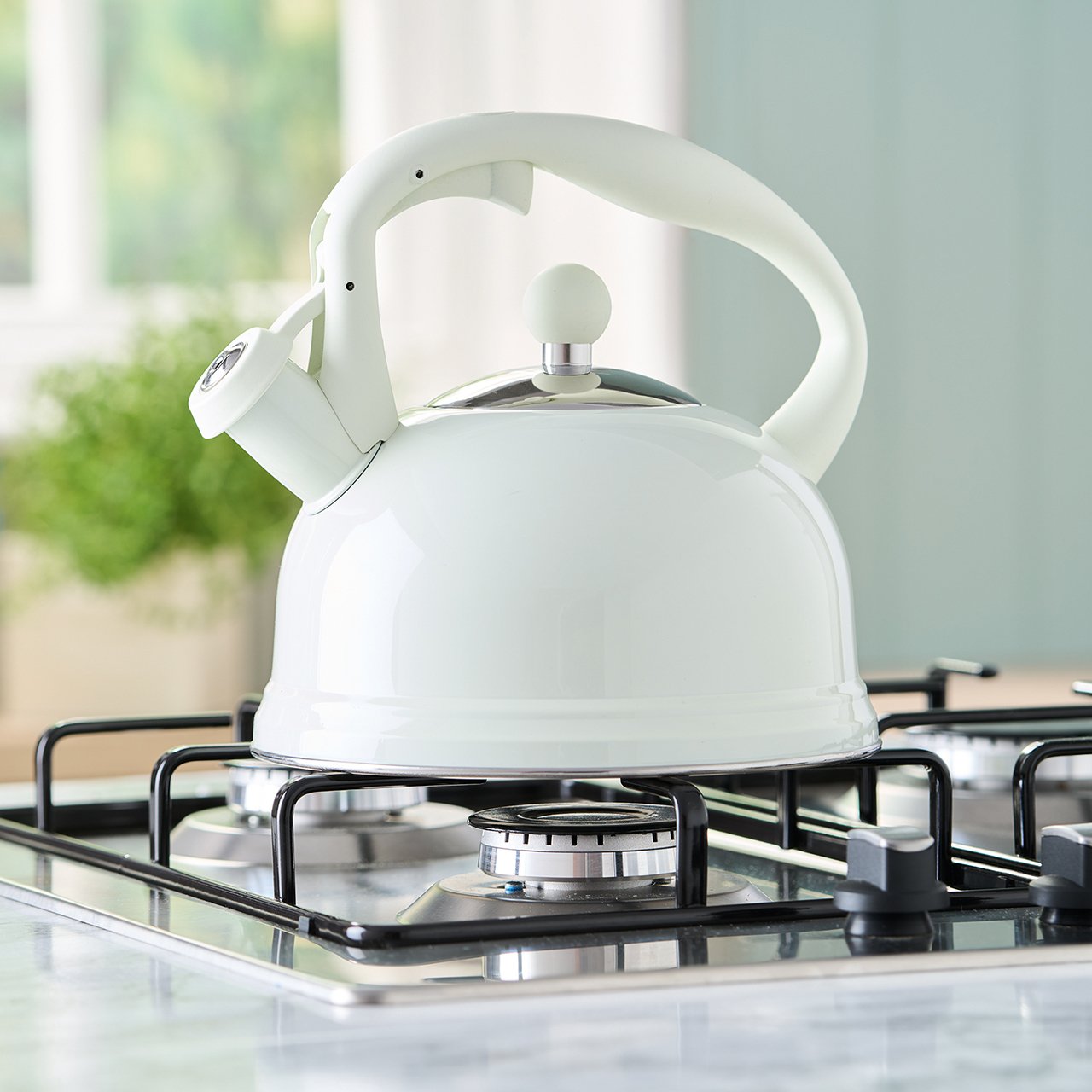 Whistling Stove Top Kettle