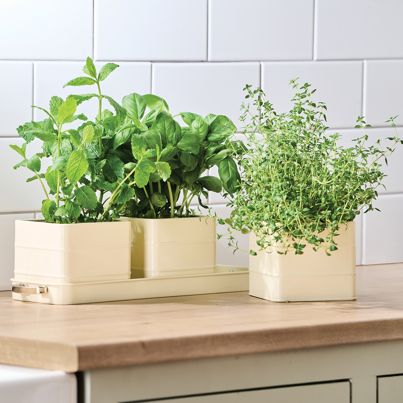 Herb Pots - Set of 3