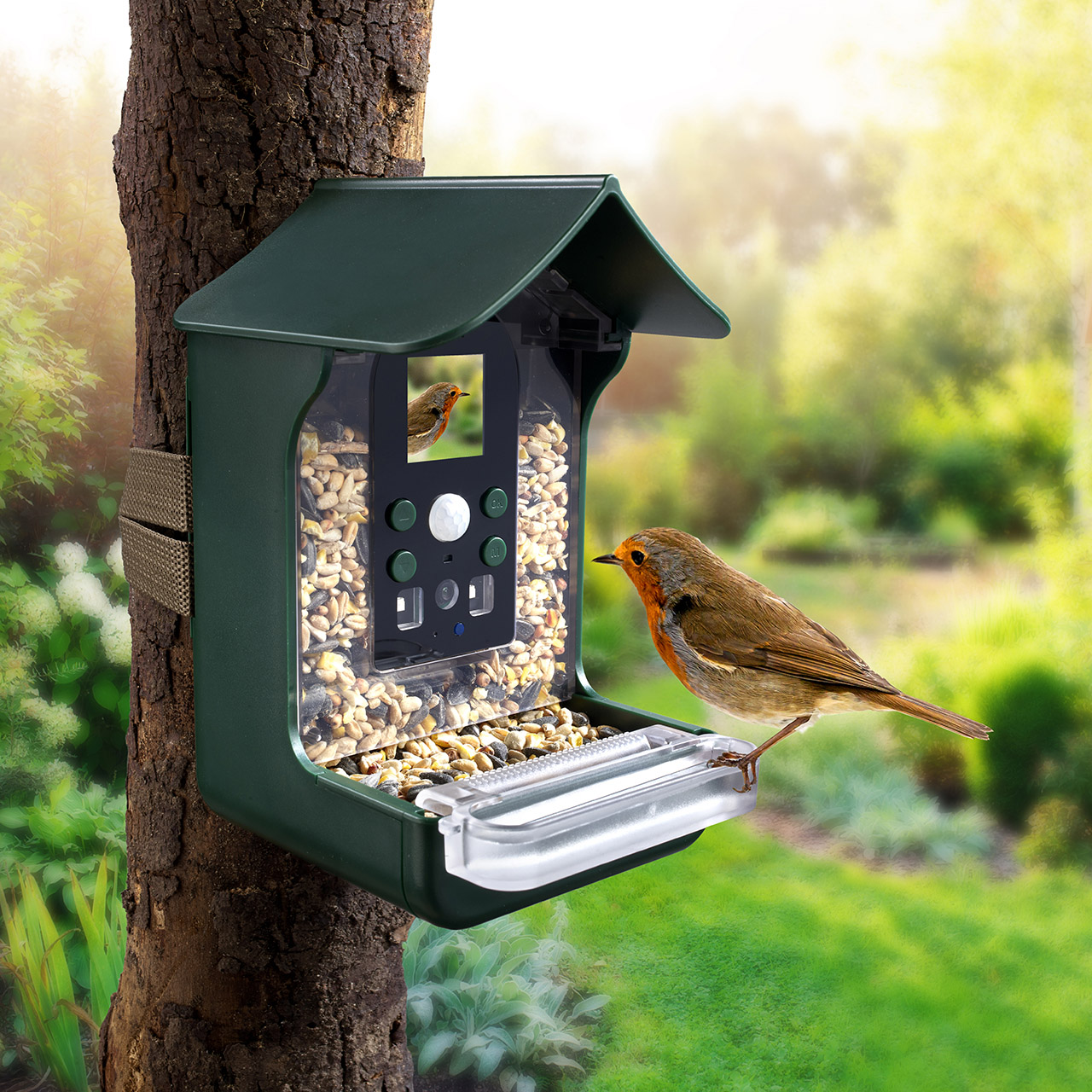 Smart Bird Feeder with Camera