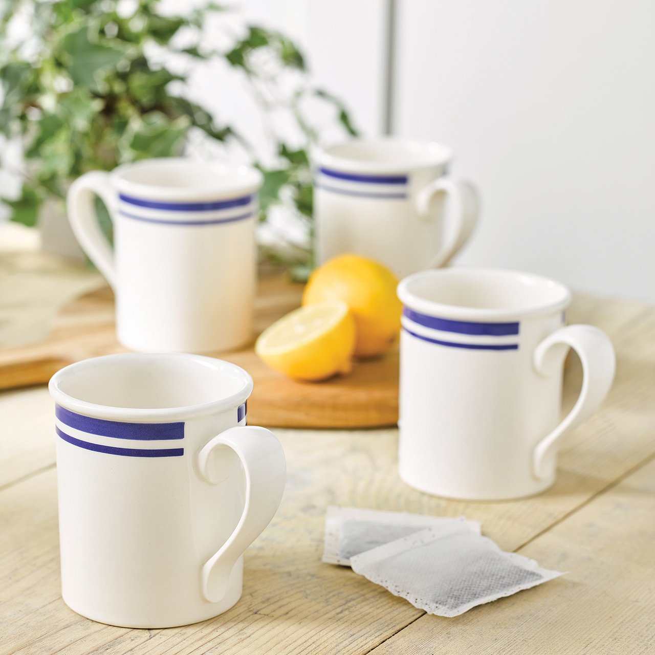 Portmeirion Potter's Stripe Mugs - Set of 4