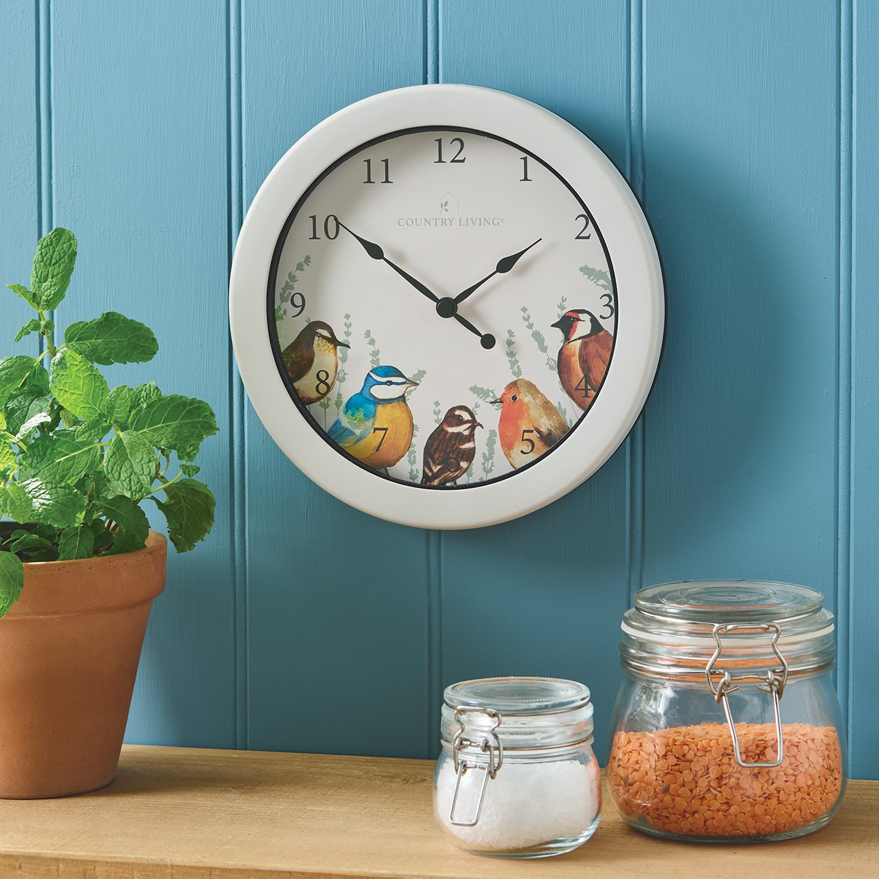 British Birds Clock