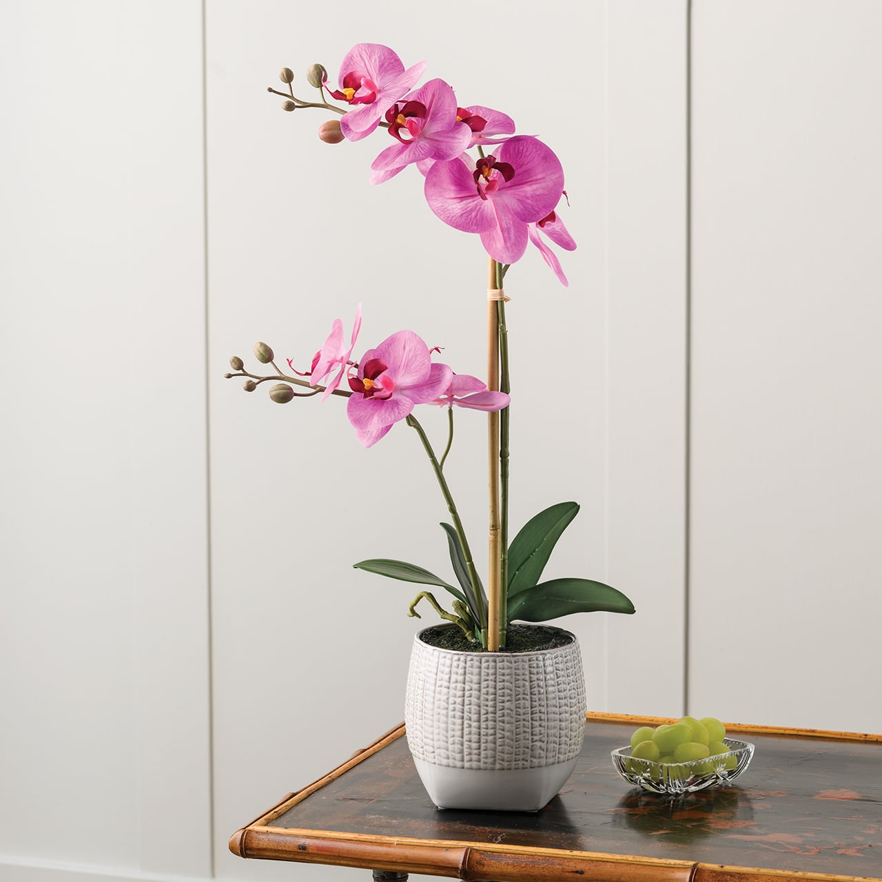 Pink Phalaenopsis Orchid in Ceramic Pot
