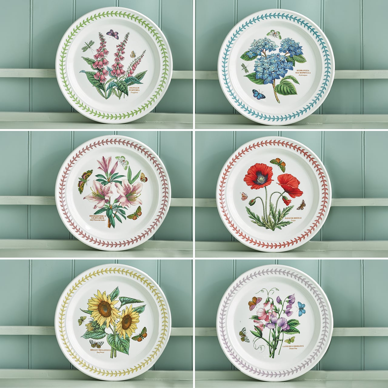 Portmeirion Botanic Garden Meadow Dinner Plates - Set of 6