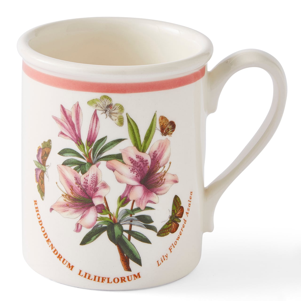 Portmeirion Botanic Garden Meadow Mug - Single