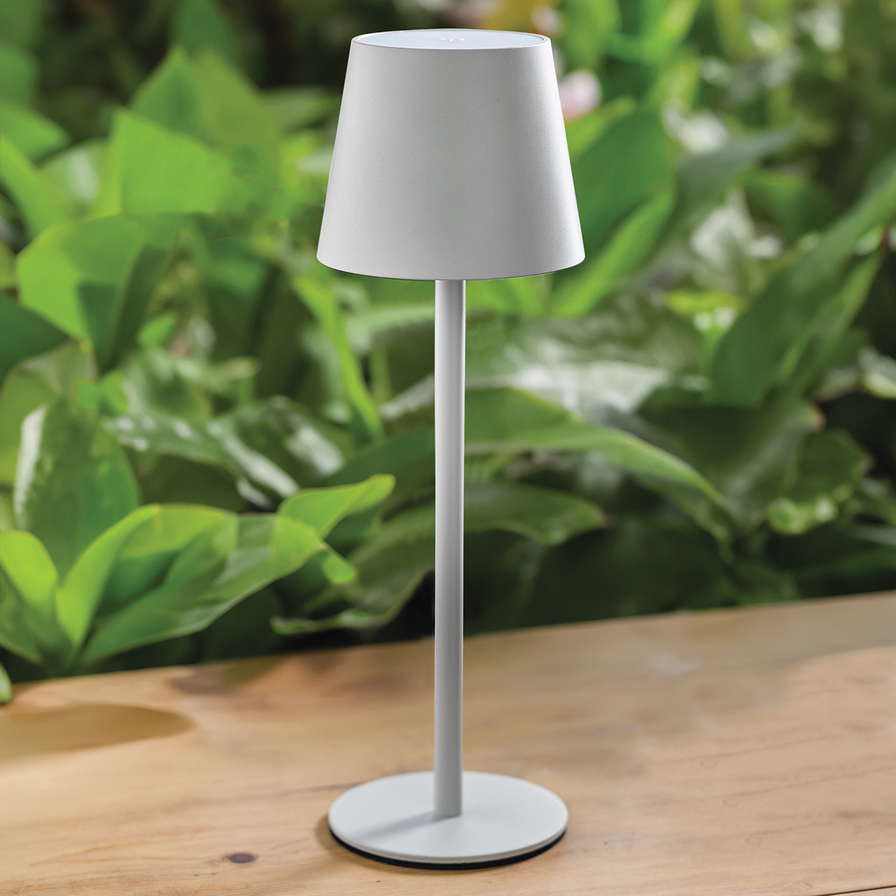 Contemporary Rechargeable Lamp