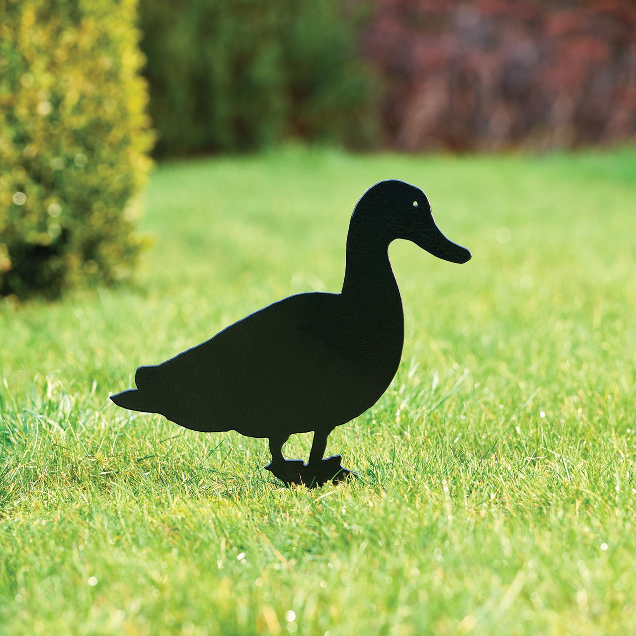 Black Duck Silhouette