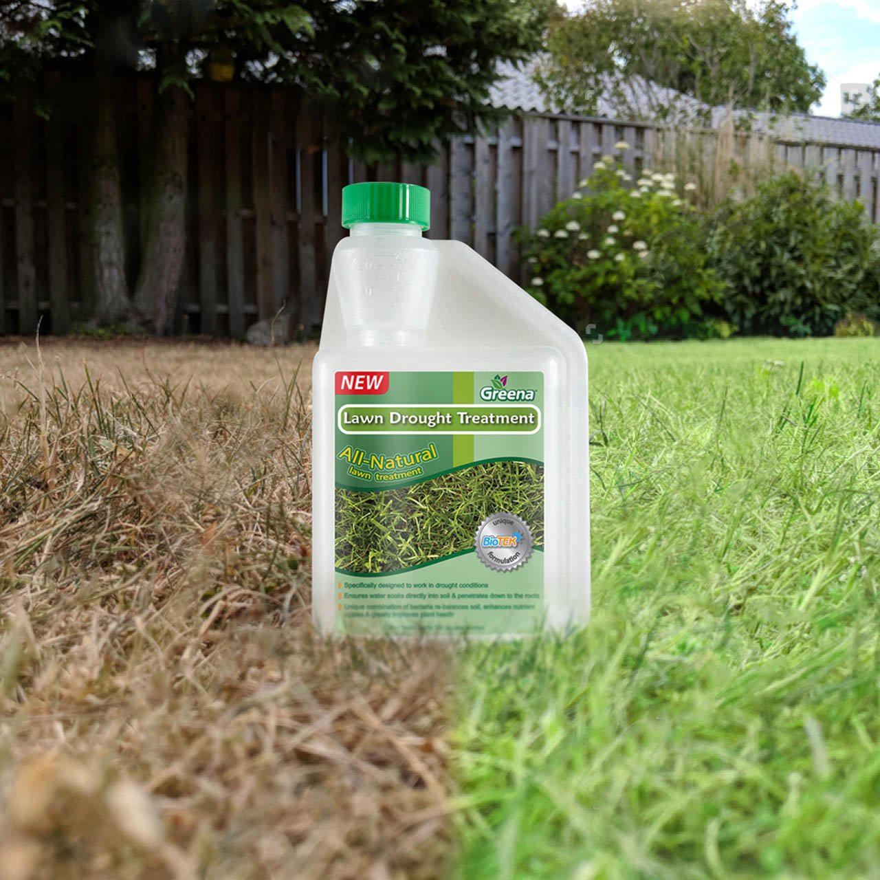 Lawn Drought Treatment