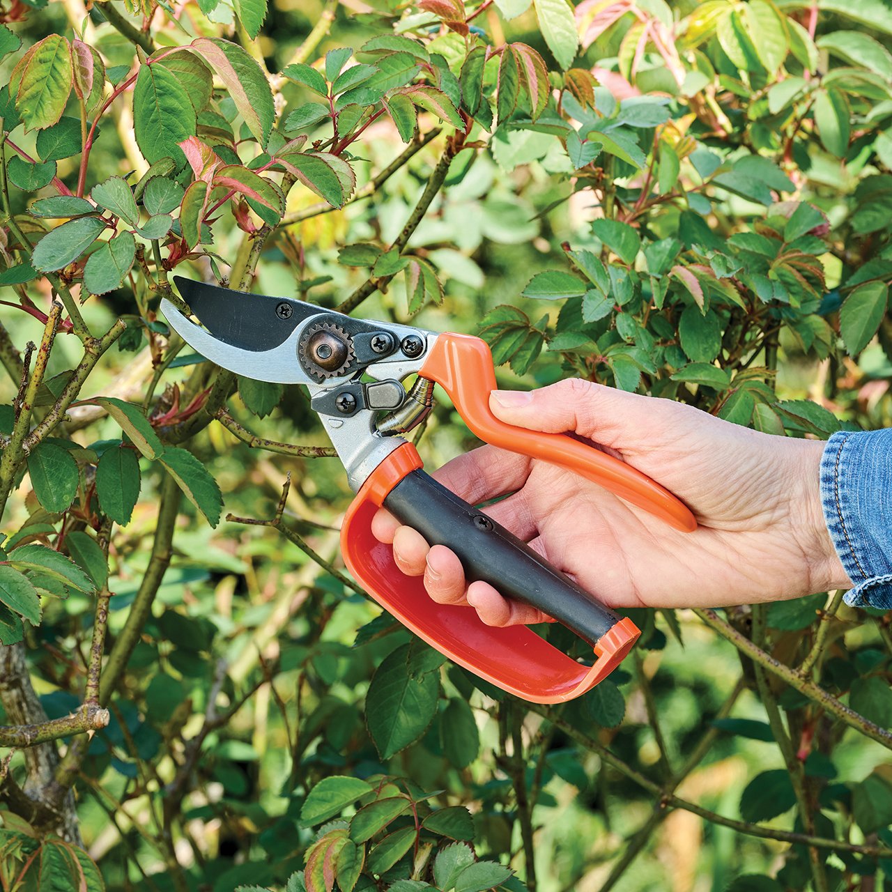 Strain Reducing Secateurs