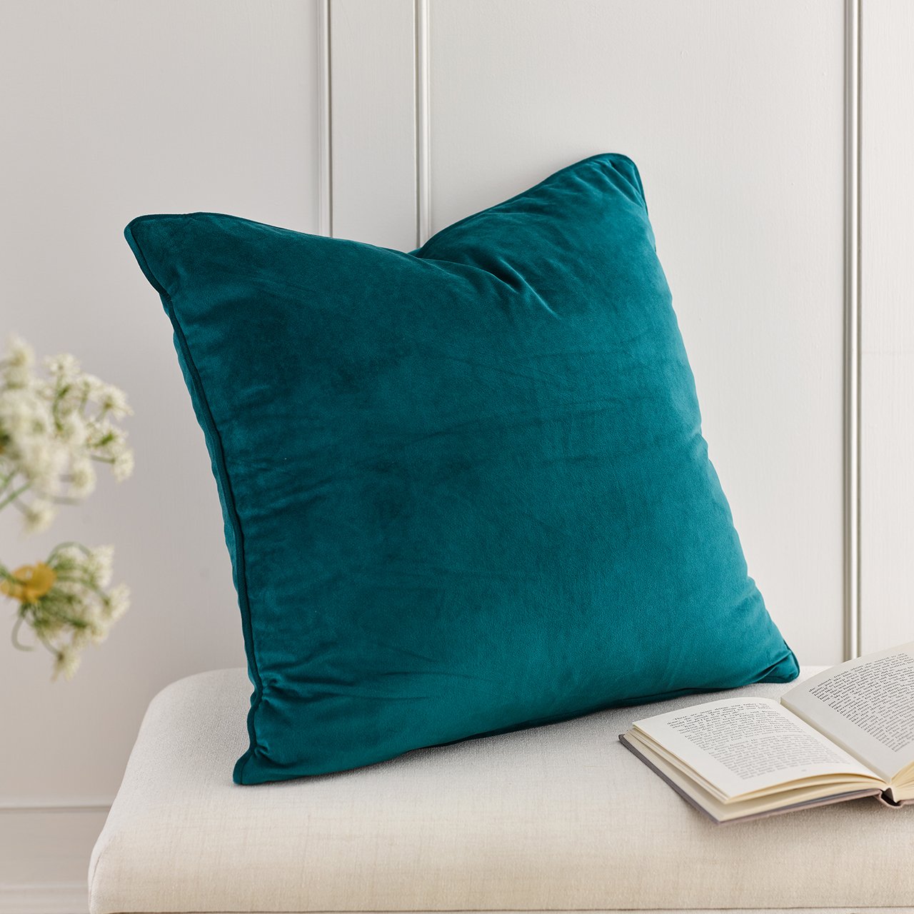 Velvet Cushion