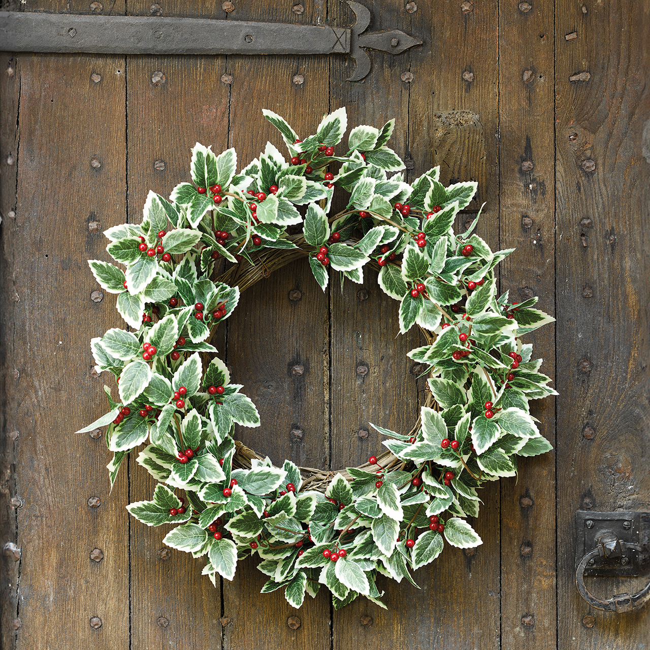 Holly Wreath