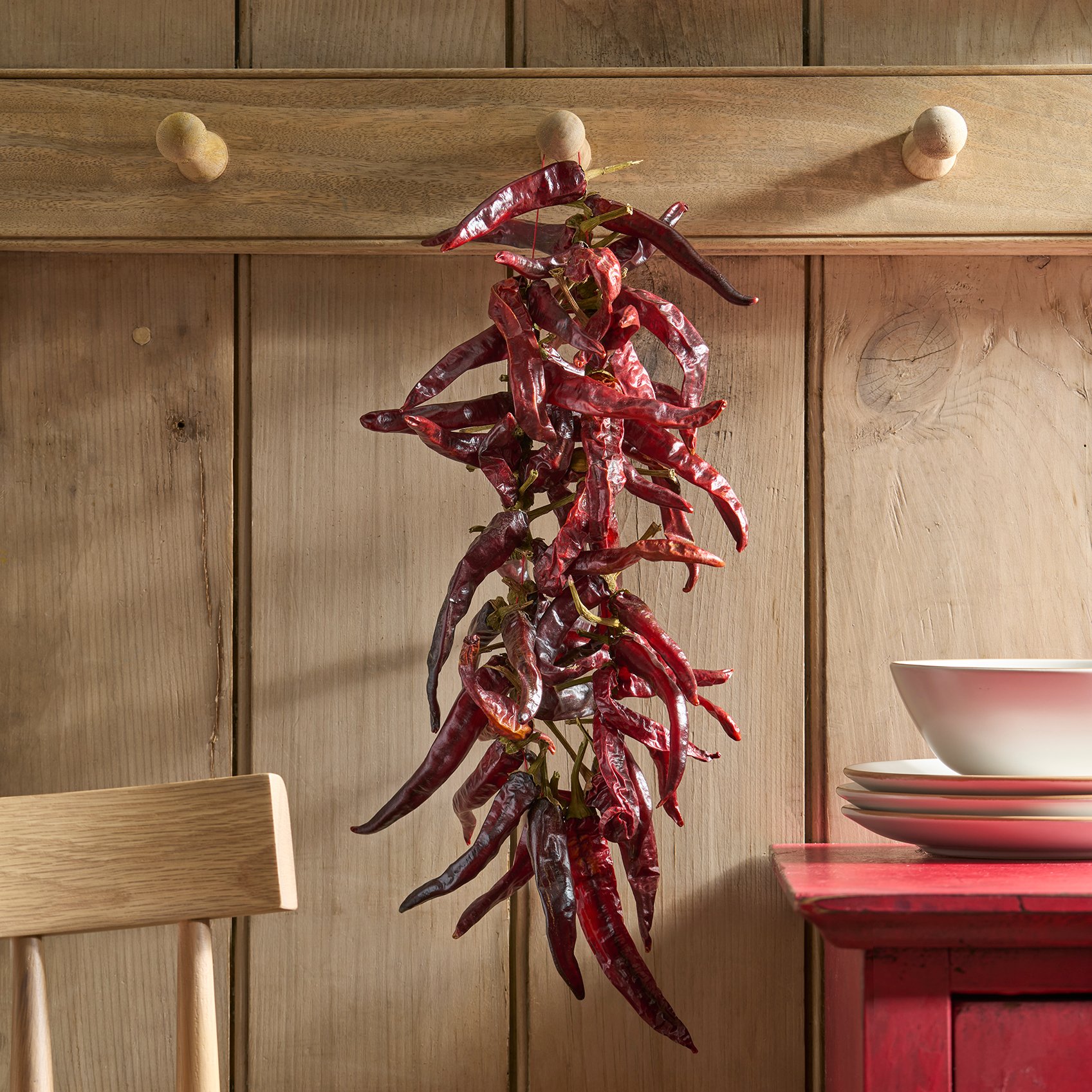 Spicy Dried Chilli Guindillas