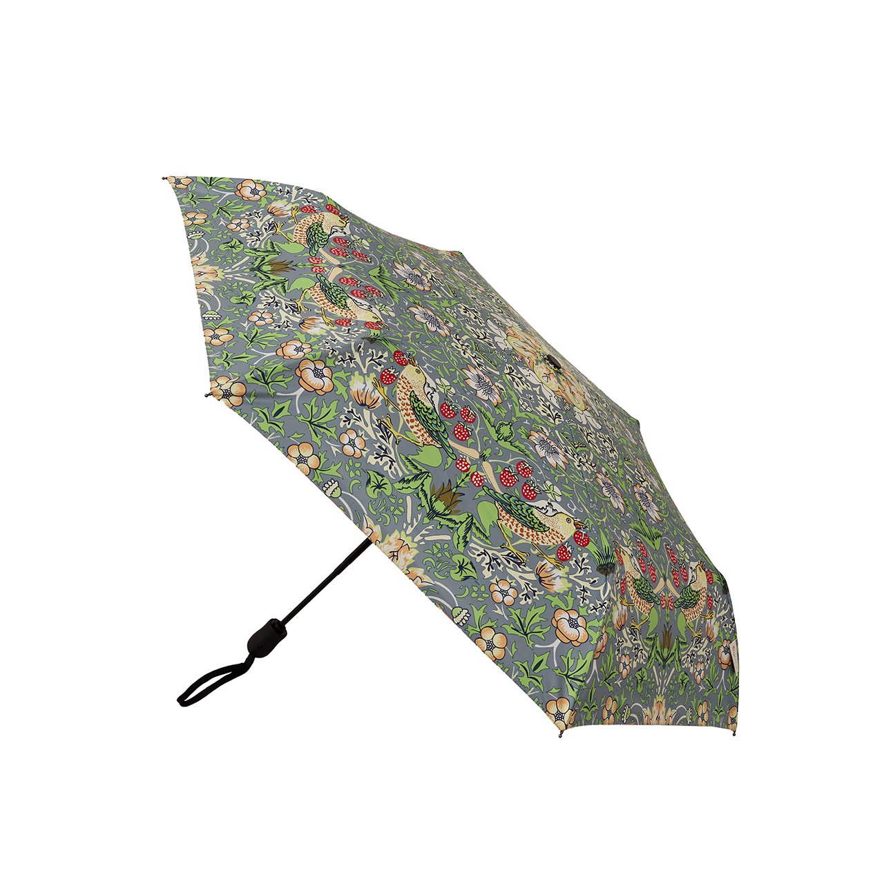 Automatic Umbrella