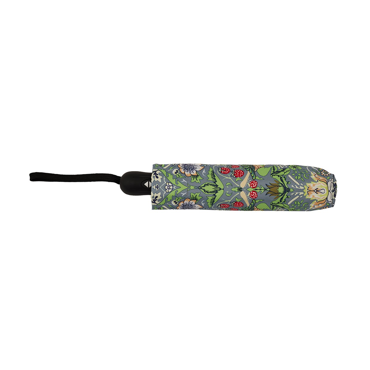 Automatic Umbrella