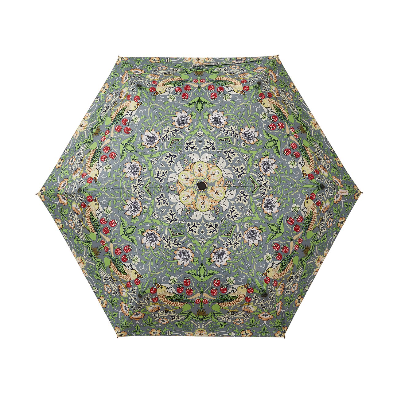 Automatic Umbrella