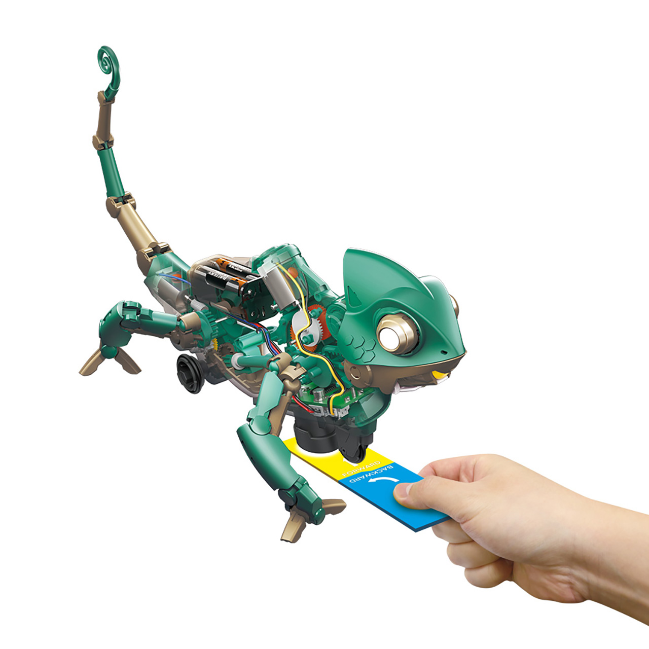 Chameleon