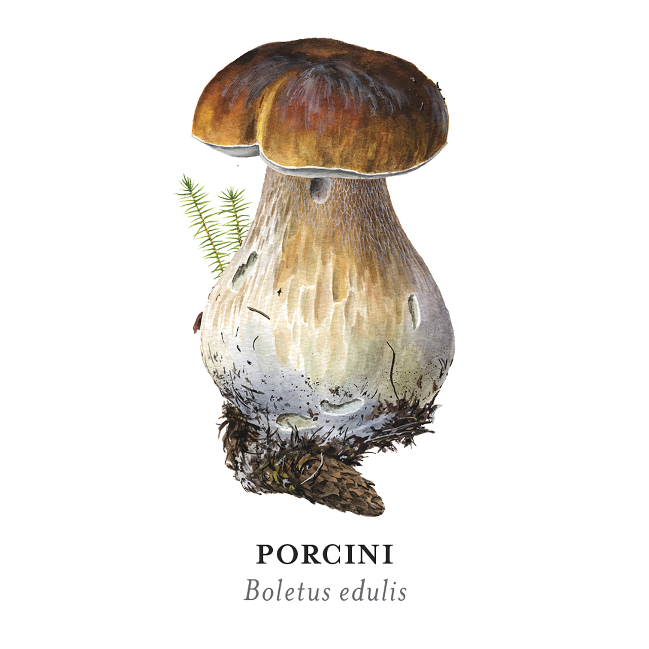 Mushrooms Memory Game