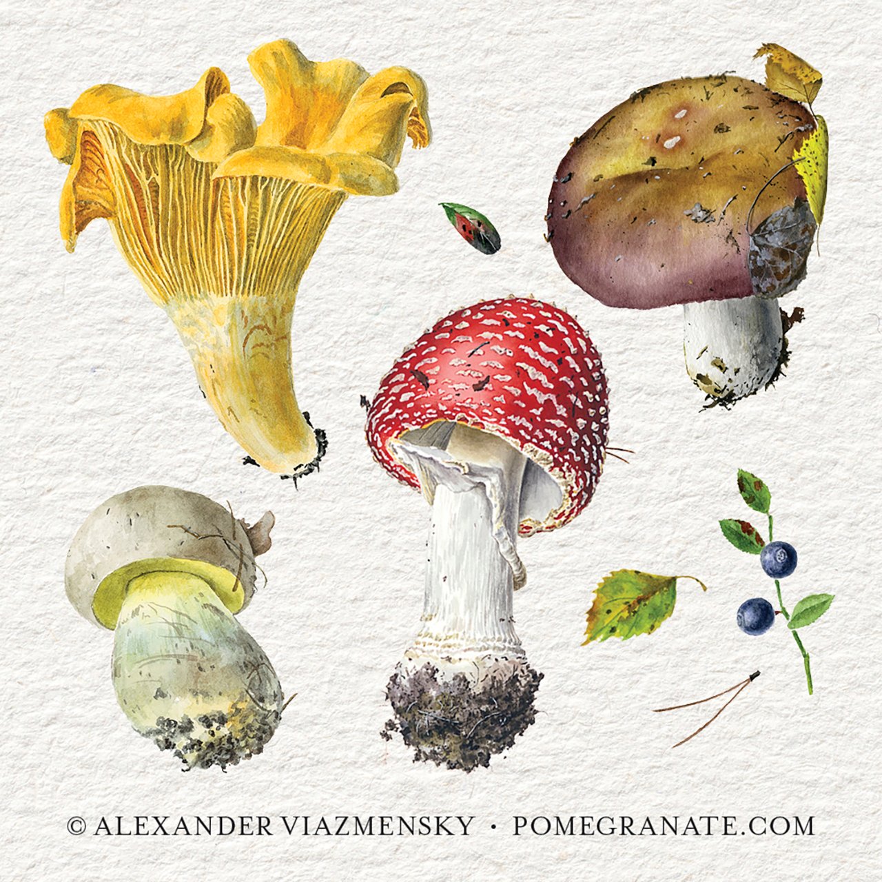 Mushrooms Memory Game