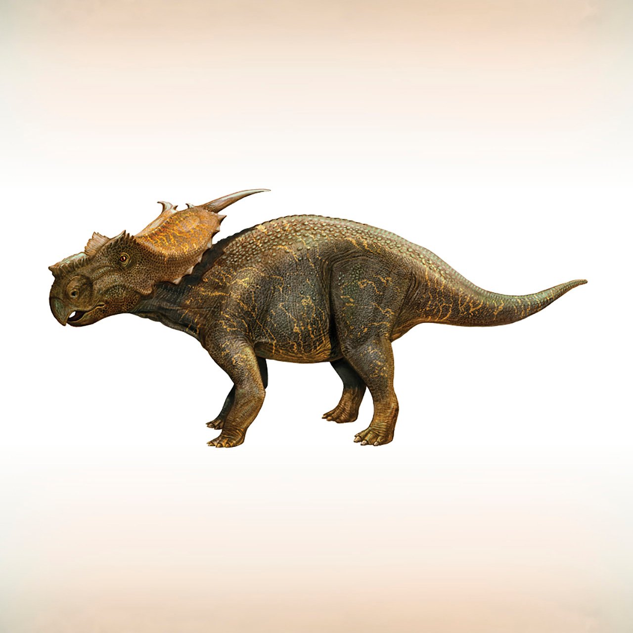 Dinosaurs Memory Card Game