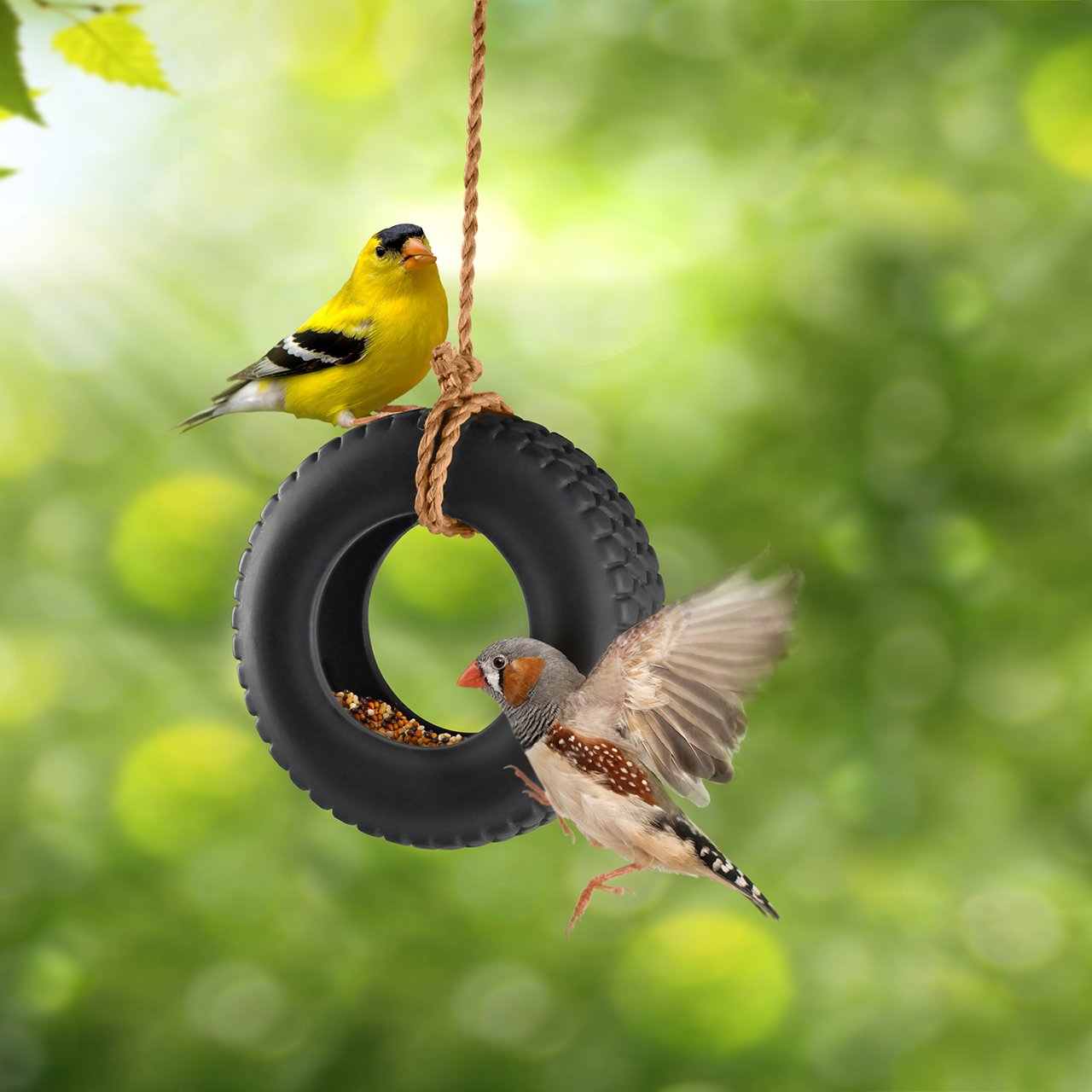 Novelty Tyre Swing Bird Feeder