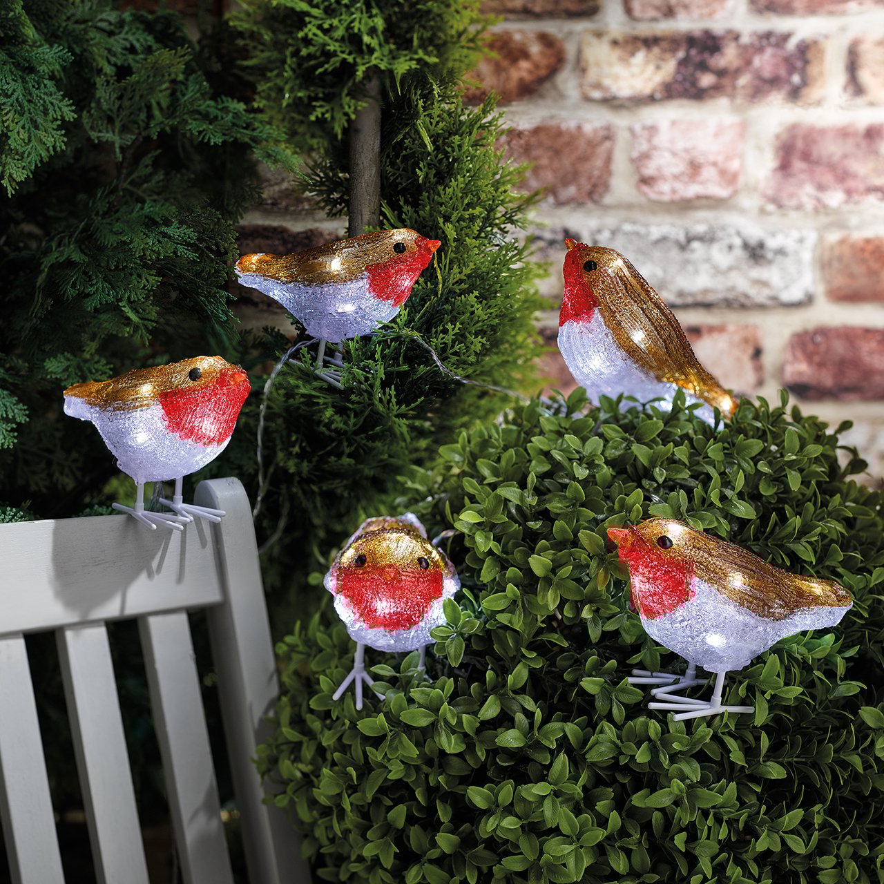 Indoor Outdoor Robin String Lights
