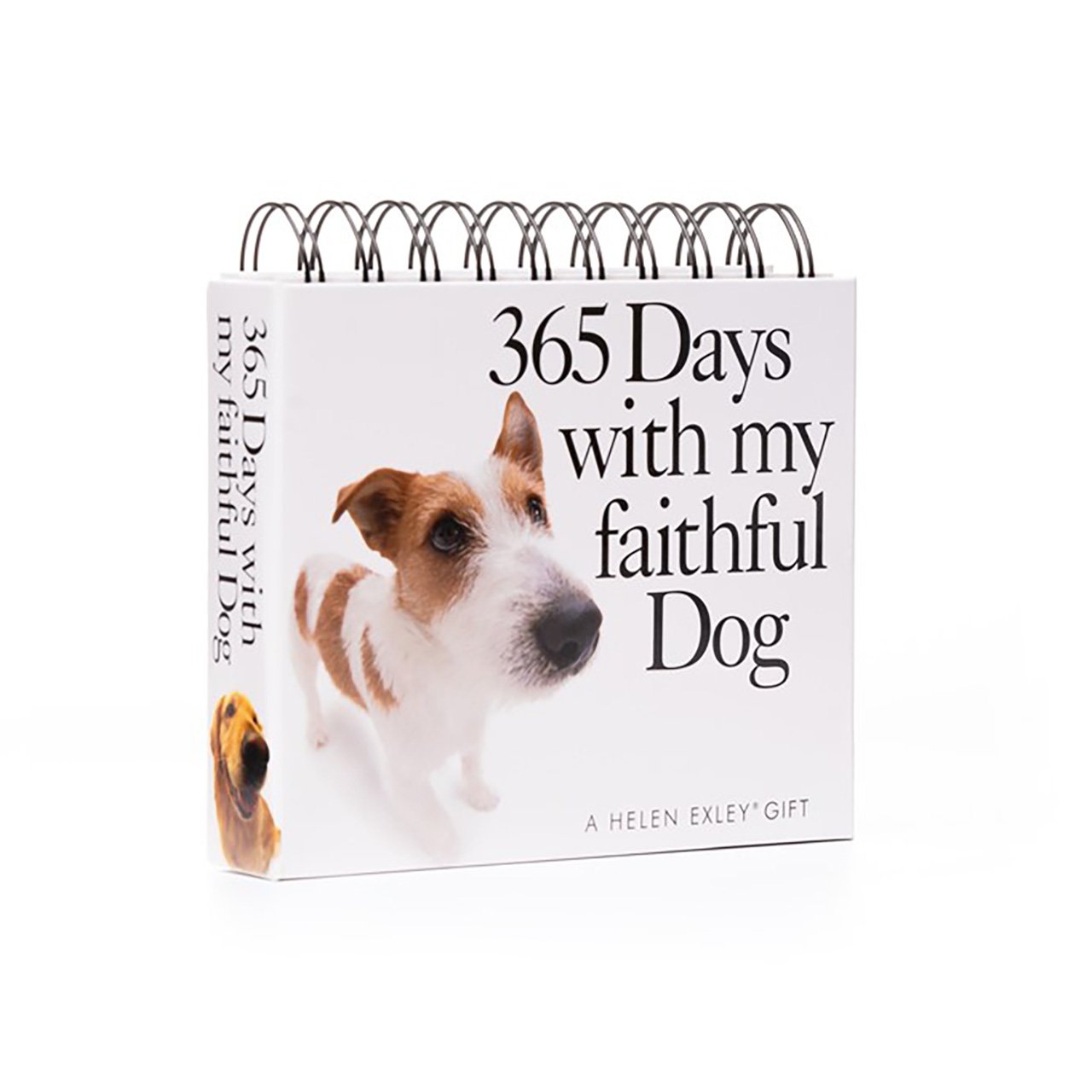 Pet Page A Day Desk Calendar