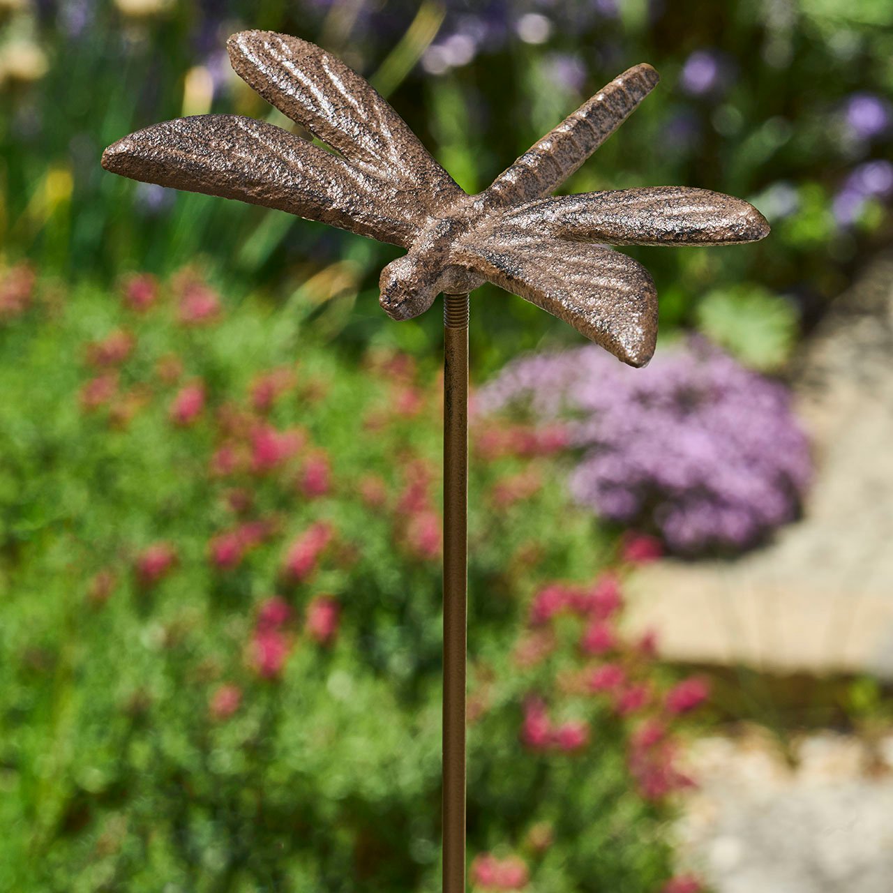 Dragonfly Stakes, Set of 3